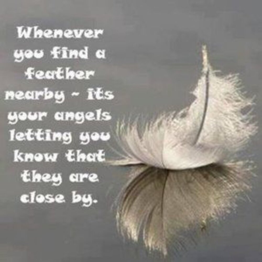 Silver Feather Necklace and earrings - Picture 2 of 9